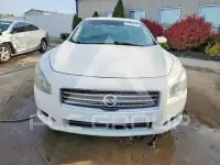 2012 Nissan MAXIMA photo