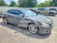 2012 Nissan MAXIMA фото