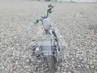 2012 Harley-Davidson Sportster120 photo