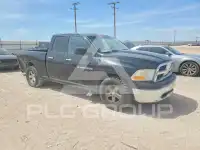 2012 Dodge RAM photo