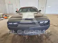 2012 Dodge CHALLENGER photo