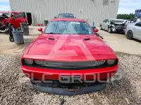 2012 Dodge CHALLENGER фото
