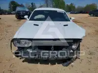 2012 Dodge CHALLENGER photo