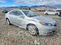 2012 Acura TL photo