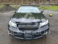 2012 Acura TL фото