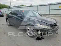 2012 Honda ACCORD фото