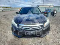2012 Honda Accord фото