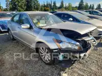 2012 Honda Accord фото