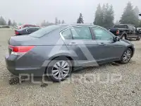 2012 Honda Accord photo