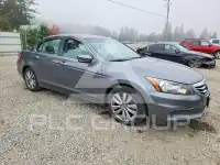 2012 Honda Accord photo