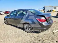 2012 Honda Accord photo