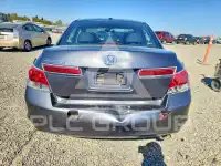 2012 Honda Accord photo