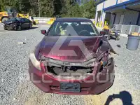 2012 Honda Accord photo