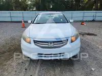 2012 Honda Accord photo