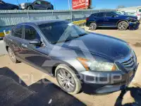 2012 Honda Accord фото