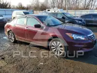 2012 Honda Accord photo