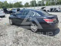 2012 Honda Accord photo