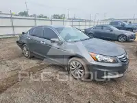 2012 Honda Accord photo