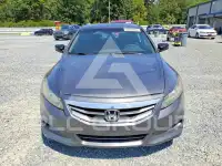 2012 Honda Accord photo