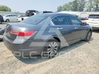 2012 Honda Accord photo