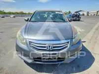 2012 Honda Accord photo