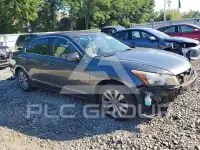 2012 Honda Accord фото