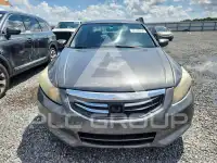 2012 Honda Accord фото
