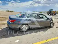 2012 Honda Accord фото