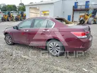2012 Honda Accord photo