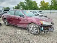 2012 Honda Accord фото