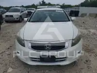 2012 Honda Accord photo