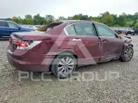 2012 Honda Accord photo