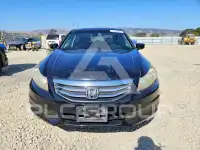 2012 Honda Accord фото