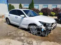 2012 Honda Accord photo