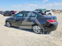 2012 Honda Accord фото