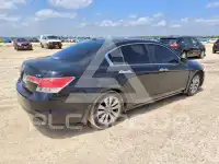 2012 Honda Accord photo