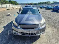 2012 Honda Accord photo