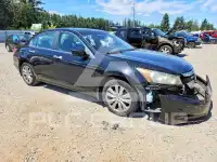2012 Honda Accord фото