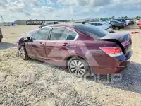 2012 Honda Accord фото