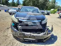 2012 Honda Accord фото