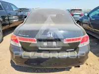2012 Honda Accord photo