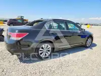 2012 Honda Accord фото