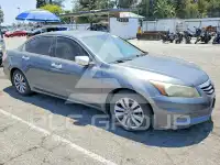 2012 Honda Accord photo
