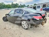 2012 Honda Accord фото