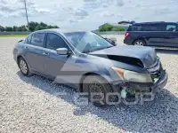 2012 Honda Accord photo