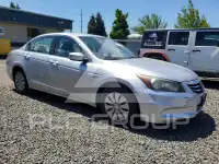2012 Honda Accord photo