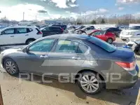 2012 Honda Accord photo
