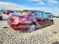 2012 Honda Accord photo