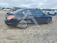 2012 Honda Accord фото