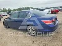 2012 Honda Accord photo